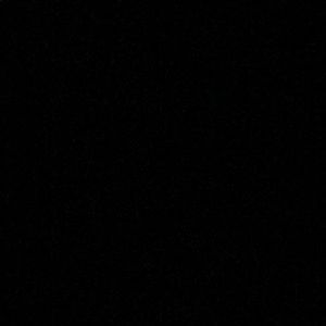 Meet your Posher, Timothy